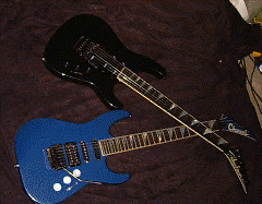 Voortplanting Charvel+Jackson